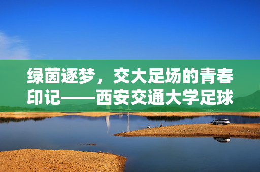 绿茵逐梦，交大足场的青春印记——西安交通大学足球场记，绿茵逐梦，交大足场的青春印记——西安交通大学足球场记