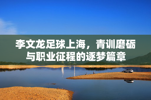 李文龙足球上海，青训磨砺与职业征程的逐梦篇章