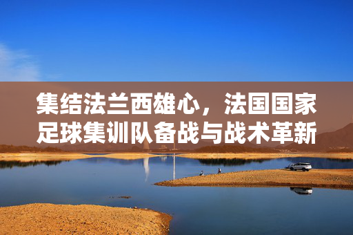 集结法兰西雄心，法国国家足球集训队备战与战术革新探析
