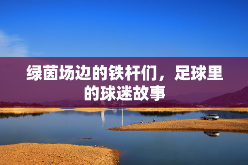 绿茵场边的铁杆们，足球里的球迷故事