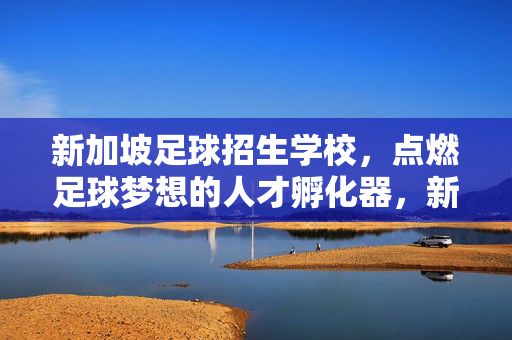 新加坡足球招生学校，点燃足球梦想的人才孵化器，新加坡足球招生学校，点燃足球梦想的人才孵化器