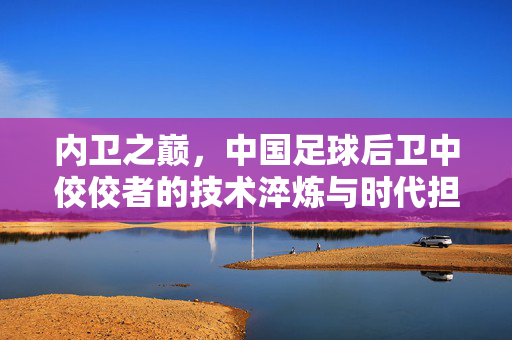 内卫之巅，中国足球后卫中佼佼者的技术淬炼与时代担当，内卫之巅，中国足球后卫技术淬炼与时代担当