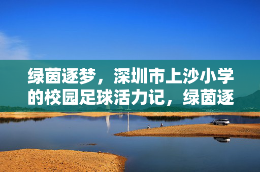 绿茵逐梦，深圳市上沙小学的校园足球活力记，绿茵逐梦，深圳市上沙小学的校园足球活力记