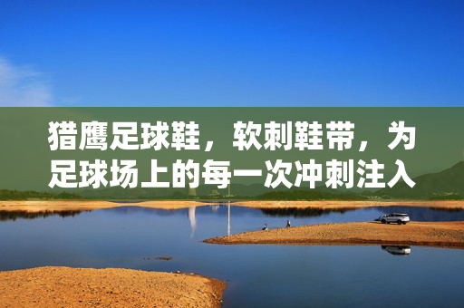 猎鹰足球鞋，软刺鞋带，为足球场上的每一次冲刺注入精准动力，猎鹰足球鞋，软刺鞋带加持，为每一次赛场冲刺注入精准动力