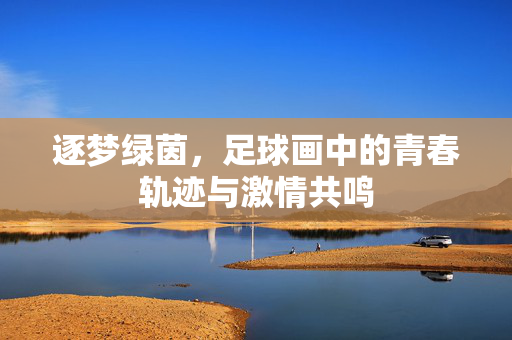 逐梦绿茵，足球画中的青春轨迹与激情共鸣