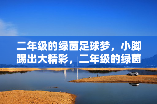 二年级的绿茵足球梦，小脚踢出大精彩，二年级的绿茵足球梦，小脚踢出大精彩