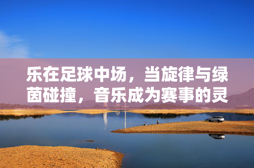 乐在足球中场，当旋律与绿茵碰撞，音乐成为赛事的灵魂注脚