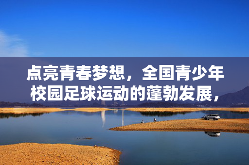 点亮青春梦想，全国青少年校园足球运动的蓬勃发展，点亮青春梦想，全国青少年校园足球运动的蓬勃发展