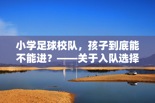 小学足球校队，孩子到底能不能进？——关于入队选择的深度思考，小学足球校队，孩子到底能不能进？——关于入队选择的深度思考