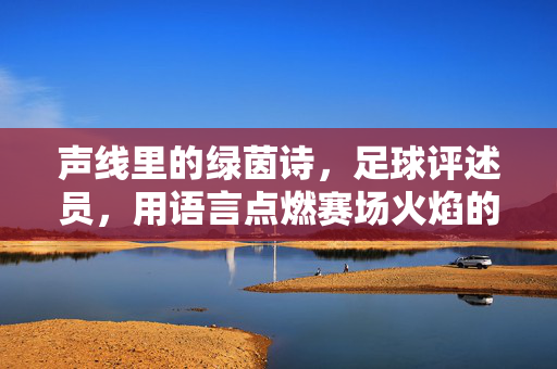 声线里的绿茵诗，足球评述员，用语言点燃赛场火焰的职业，声线里的绿茵诗，足球评述员，用语言点燃赛场火焰的职业