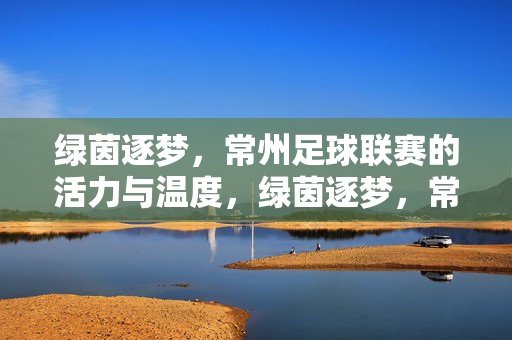 绿茵逐梦，常州足球联赛的活力与温度，绿茵逐梦，常州足球联赛的活力与温度
