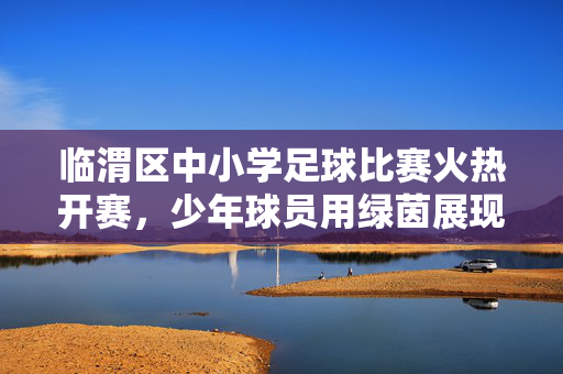 临渭区中小学足球比赛火热开赛，少年球员用绿茵展现青春风采，临渭区中小学足球比赛火热开赛，少年球员用绿茵展现青春风采