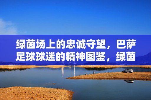 绿茵场上的忠诚守望，巴萨足球球迷的精神图鉴，绿茵场上的忠诚守望，巴萨足球球迷的精神图鉴