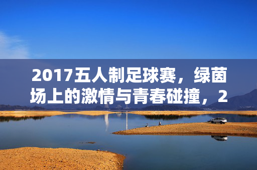2017五人制足球赛，绿茵场上的激情与青春碰撞，2017五人制足球赛，绿茵场上的激情与青春碰撞