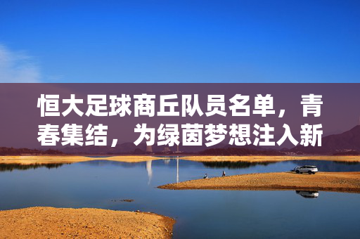 恒大足球商丘队员名单，青春集结，为绿茵梦想注入新活力——解析球队年轻力量与经验传承的完美结合，恒大足球商丘队员名单，青春集结为绿茵梦注入新活力，解析年轻力量与经验传承的完美结合