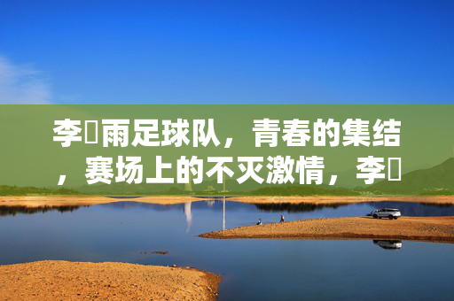 李玹雨足球队，青春的集结，赛场上的不灭激情，李玹雨足球队，青春集结，赛场上的不灭激情