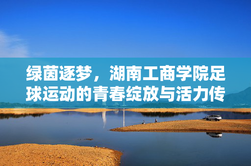 绿茵逐梦,湖南工商学院足球运动的青春绽放与活力传承,绿茵逐梦,湖南工商学院足球运动的青春绽放与活力传承