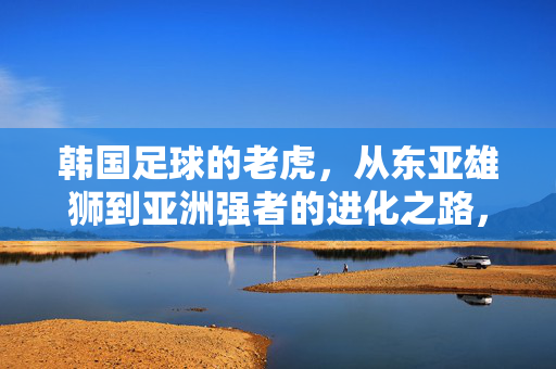 韩国足球的老虎，从东亚雄狮到亚洲强者的进化之路，韩国足球的老虎，从东亚雄狮到亚洲强者的进化之路