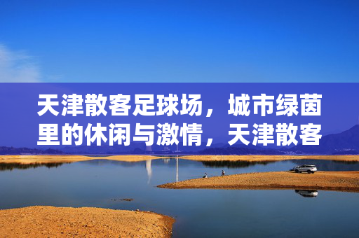 天津散客足球场，城市绿茵里的休闲与激情，天津散客足球场，城市绿茵里的休闲与激情