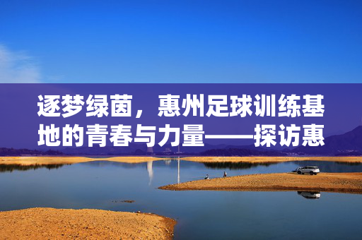 逐梦绿茵，惠州足球训练基地的青春与力量——探访惠州足球训练基地的日常与未来