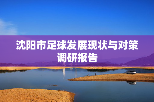 沈阳市足球发展现状与对策调研报告