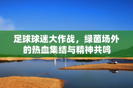 足球球迷大作战，绿茵场外的热血集结与精神共鸣