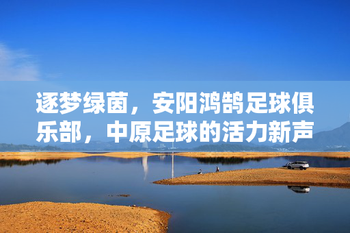 逐梦绿茵，安阳鸿鹄足球俱乐部，中原足球的活力新声，逐梦绿茵，安阳鸿鹄足球俱乐部，中原足球的活力新声
