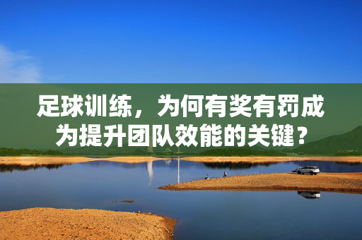足球训练，为何有奖有罚成为提升团队效能的关键？