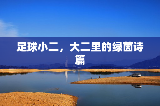 足球小二，大二里的绿茵诗篇