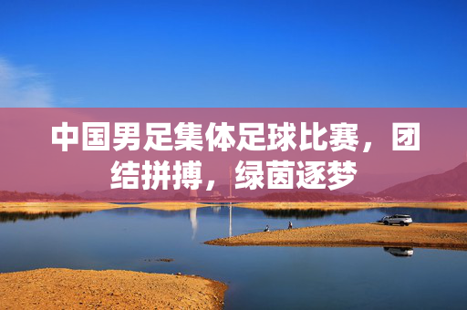 中国男足集体足球比赛，团结拼搏，绿茵逐梦