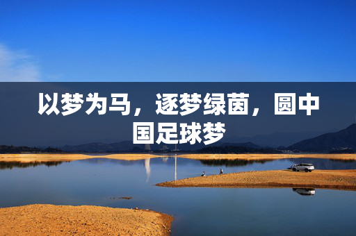 以梦为马，逐梦绿茵，圆中国足球梦