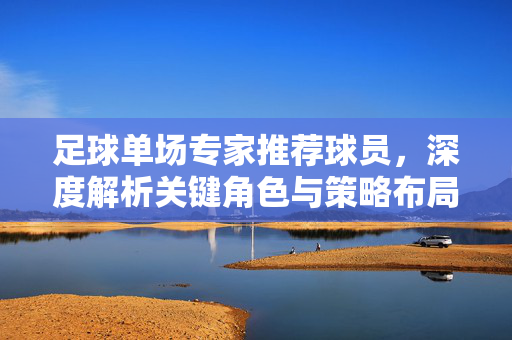 足球单场专家推荐球员，深度解析关键角色与策略布局