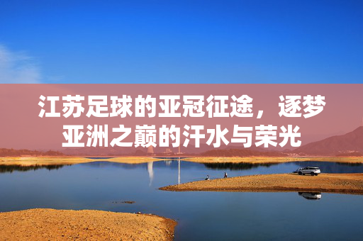 江苏足球的亚冠征途，逐梦亚洲之巅的汗水与荣光
