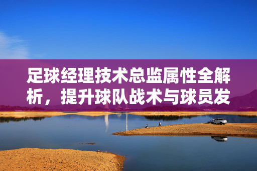 足球经理技术总监属性全解析，提升球队战术与球员发展的关键策略