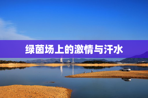 绿茵场上的激情与汗水