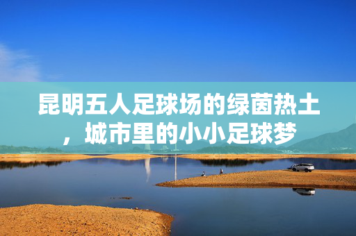 昆明五人足球场的绿茵热土，城市里的小小足球梦