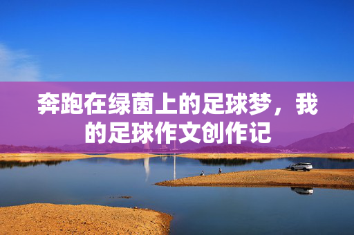 奔跑在绿茵上的足球梦,我的足球作文创作记