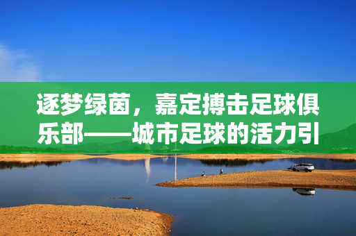 逐梦绿茵，嘉定搏击足球俱乐部——城市足球的活力引擎与青春力量，逐梦绿茵，嘉定搏击足球俱乐部——城市足球的活力引擎与青春力量