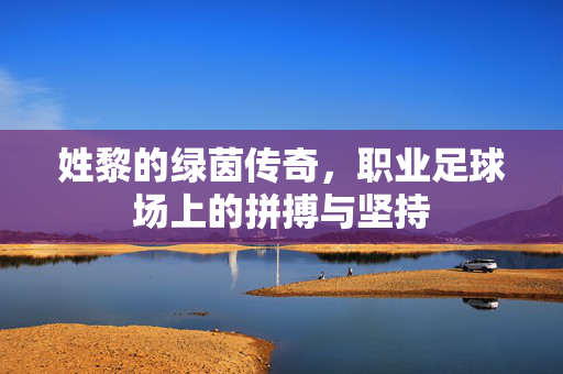 姓黎的绿茵传奇，职业足球场上的拼搏与坚持