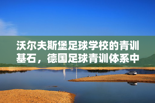 沃尔夫斯堡足球学校的青训基石，德国足球青训体系中的璀璨明珠