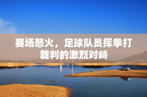 赛场怒火，足球队员挥拳打裁判的激烈对峙