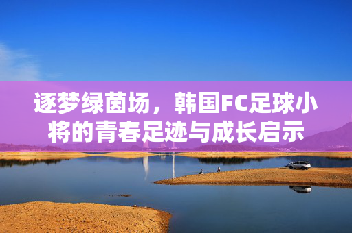逐梦绿茵场，韩国FC足球小将的青春足迹与成长启示