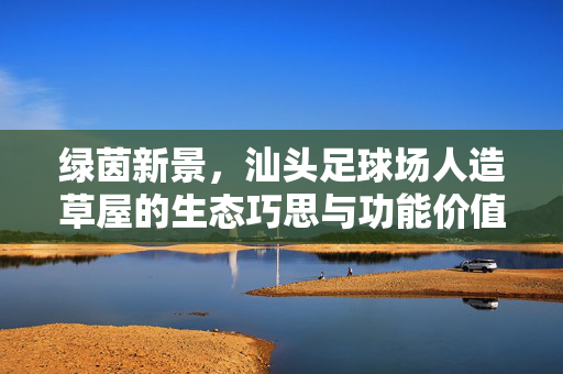 绿茵新景，汕头足球场人造草屋的生态巧思与功能价值