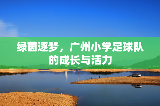 绿茵逐梦，广州小学足球队的成长与活力