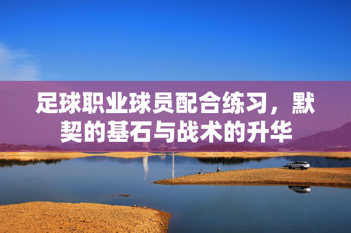 足球职业球员配合练习，默契的基石与战术的升华