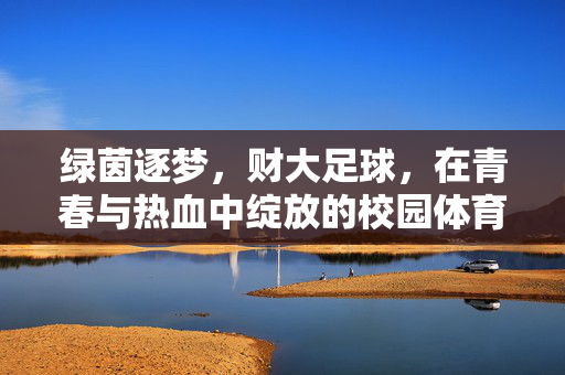 绿茵逐梦，财大足球，在青春与热血中绽放的校园体育名片，绿茵逐梦，财大足球，青春与热血中绽放的校园体育名片