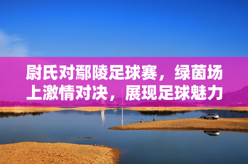 尉氏对鄢陵足球赛，绿茵场上激情对决，展现足球魅力与竞技精神