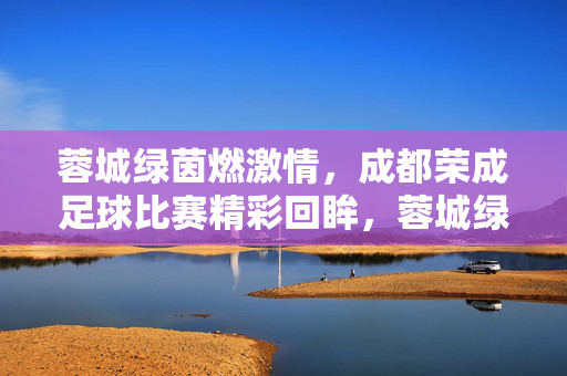 蓉城绿茵燃激情，成都荣成足球比赛精彩回眸，蓉城绿茵燃激情，成都荣成足球比赛精彩回眸