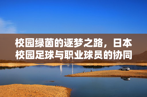 校园绿茵的逐梦之路，日本校园足球与职业球员的协同发展