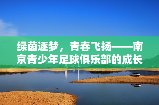 绿茵逐梦，青春飞扬——南京青少年足球俱乐部的成长之路与未来展望，绿茵逐梦，青春飞扬——南京青少年足球俱乐部的成长之路与未来展望